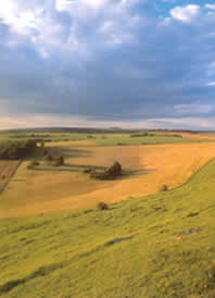 Sprachreisen in England: Landschaft
